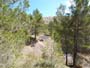 Montalban y cañada de Verich