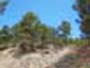 Montalban y cañada de Verich