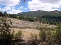 21 Junio 2014 - El Horcajo. Ciudad Real