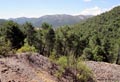21 Junio 2014 - El Horcajo. Ciudad Real