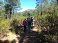 21 Junio 2014 - El Horcajo. Ciudad Real