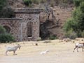 21 Junio 2014 - El Horcajo. Ciudad Real