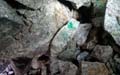 13 Junio 2015 - Mina de wolframio de Cabeza de Líjar