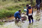 24-26 Abril 2015 - Bateo de oro al arroyo Fresnedoso