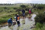 24-26 Abril 2015 - Bateo de oro al arroyo Fresnedoso