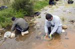 24-26 Abril 2015 - Bateo de oro al arroyo Fresnedoso