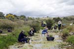 24-26 Abril 2015 - Bateo de oro al arroyo Fresnedoso