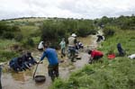 24-26 Abril 2015 - Bateo de oro al arroyo Fresnedoso