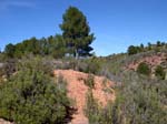 28 Marzo 2015 - Los Yesares