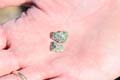 28 Noviembre 2015 - Excusión de mineralogía a los volcanes del Campo de Calatrava