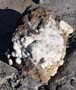 28 Noviembre 2015 - Excusión de mineralogía a los volcanes del Campo de Calatrava