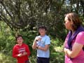 30 Mayo 2015 - Pueblos negros de Segovia