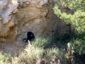 19, 20 Noviembre 2016 - Saltador, Lora, Minicas, Zarzadilla de totana y Ulea Murcia