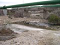 19, 20 Noviembre 2016 - Saltador, Lora, Minicas, Zarzadilla de totana y Ulea Murcia
