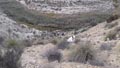 19, 20 Noviembre 2016 - Saltador, Lora, Minicas, Zarzadilla de totana y Ulea Murcia