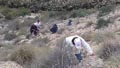 19, 20 Noviembre 2016 - Saltador, Lora, Minicas, Zarzadilla de totana y Ulea Murcia