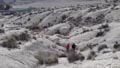 19, 20 Noviembre 2016 - Saltador, Lora, Minicas, Zarzadilla de totana y Ulea Murcia