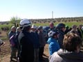 2 Abril 2016 - Madrilejos