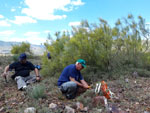 15 Junio 2019 - Excusión de mineralogía a Purroy