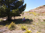 15 Junio 2019 - Excusión de mineralogía a Purroy