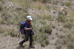 15 Junio 2019 - Excusión de mineralogía a Purroy