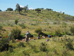 Excursión de bateo de oro al arroyo Fresnedoso, en Moraleja (Cáceres) - 27 Abril 2019