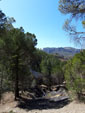 Montalban. Teruel - 30