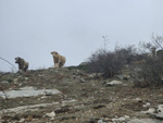 SOMOSIERRA