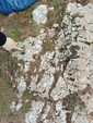SOMOSIERRA