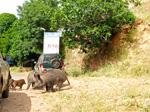 EL HORCAJO
