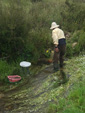 Arroyo Fresnedoso