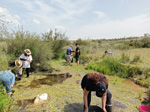 Arroyo Fresnedoso