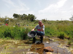 Arroyo Fresnedoso