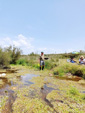 Arroyo Fresnedoso