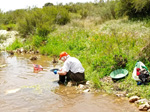 Arroyo Fresnedoso