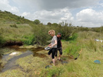 Arroyo Fresnedoso