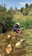 Arroyo Fresnedoso