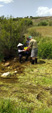 Arroyo Fresnedoso