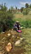 Arroyo Fresnedoso
