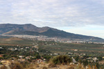20 octubre 2024