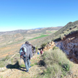 14 febrero 2026 - 14 -15 Febrero 2026
