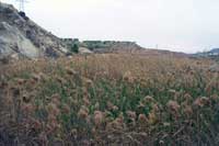 Salidas 2008