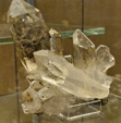 GMA. Museo Nacional de Ciencias Naturales