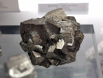Museo de Ciencias Naturales de Álava