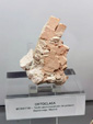 Museo de Ciencias Naturales de Álava